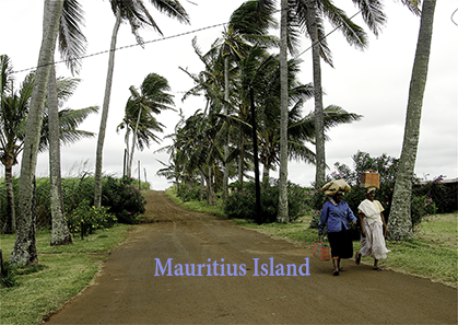 Mauritius Island, on the road